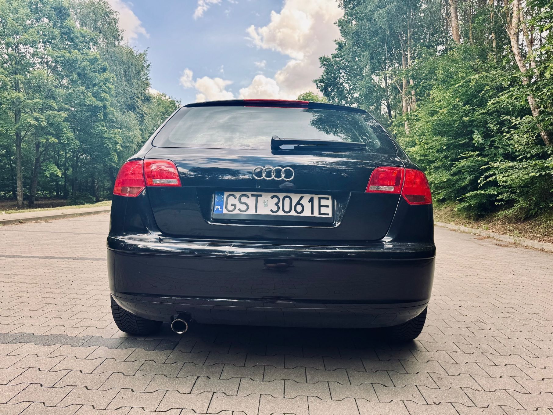 Audi A3 Audi A3 8P 1.6MPI Zadbany, Pierwszy własciciel w kraju