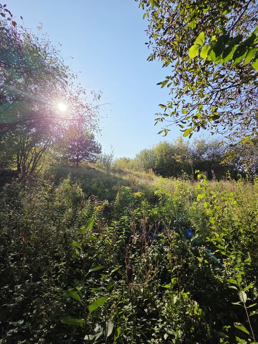 Продаж ділянки 14 сот з будинком 35 м² в Станишівці