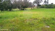 Terreno  para arrendamento
