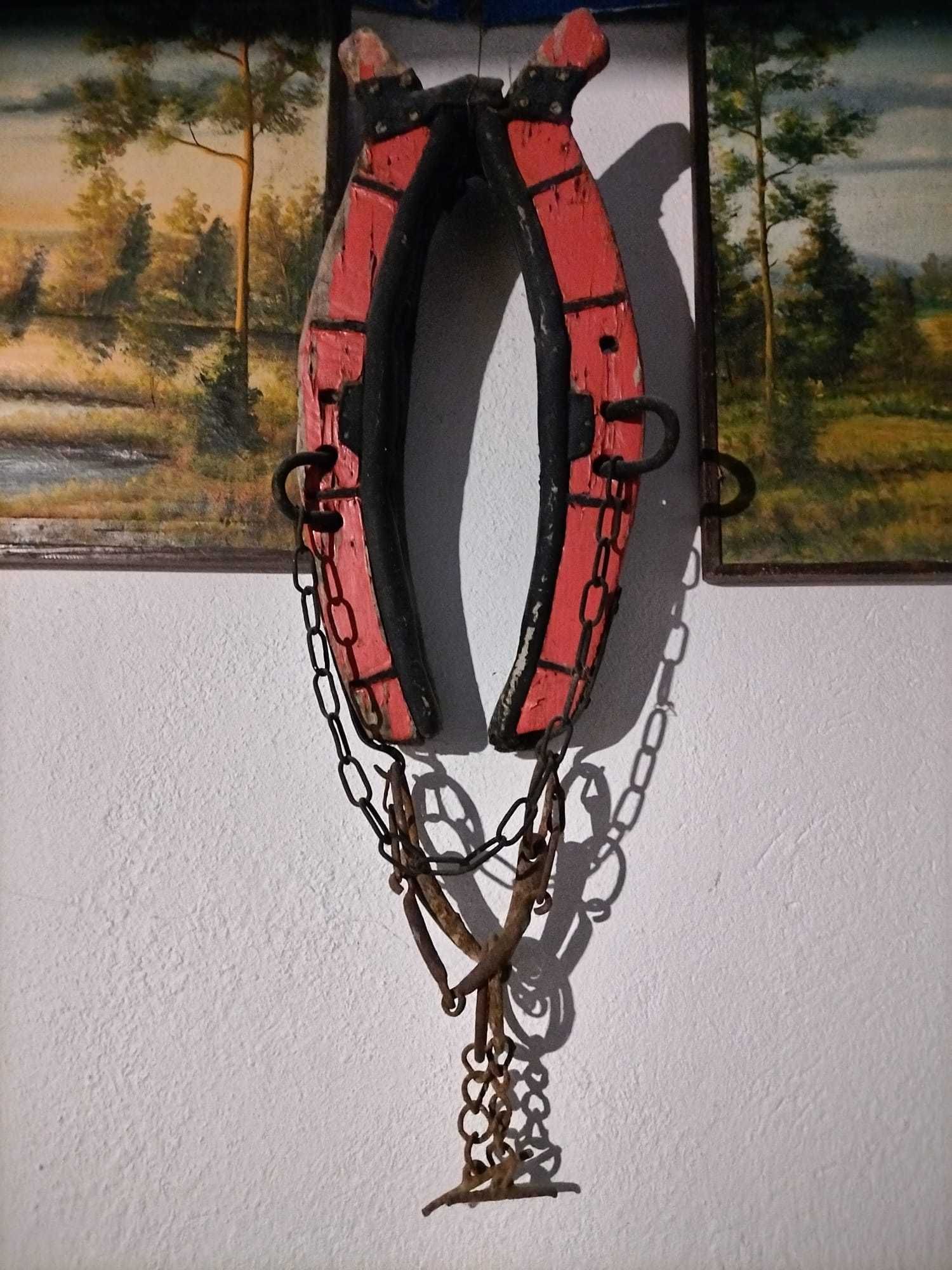 Homonta sprzedam