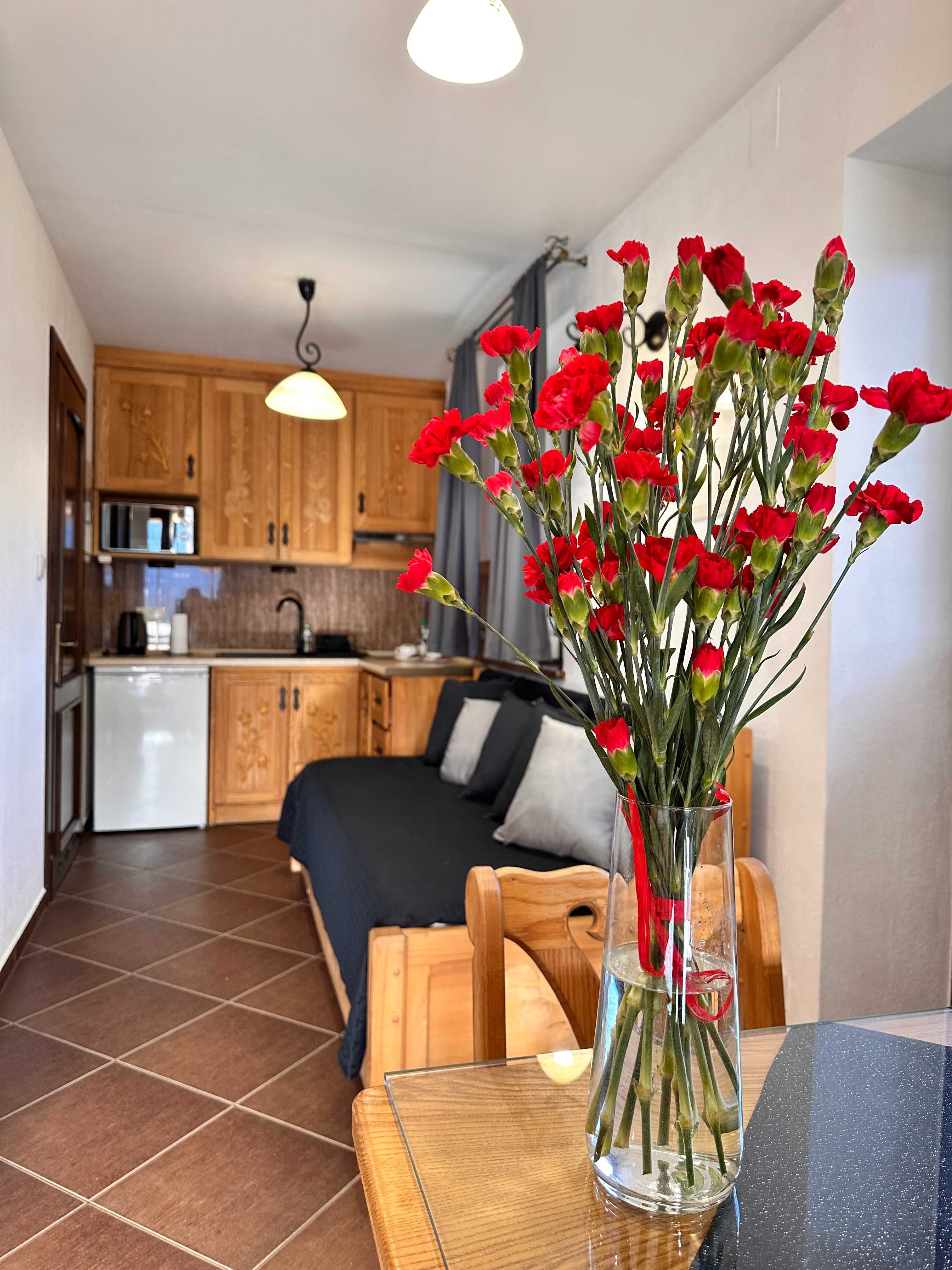 Apartamenty widokowe, Zakopane, wakacje w górach, parking w cenie