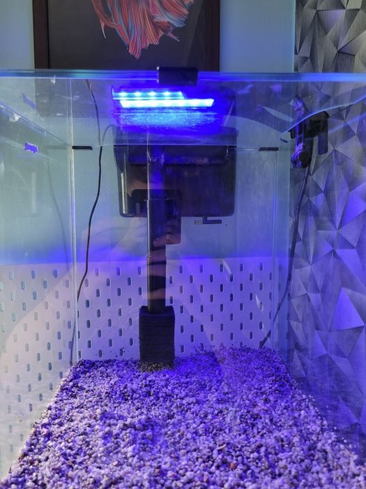 Akwarium 49 l zestaw  aquael shrimp set Duo