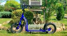 Hulajnoga Bike Star
