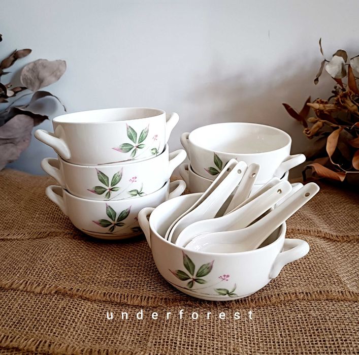 Miseczki bulionówki 6 sztuk salaterki porcelanowe z łyżeczkami