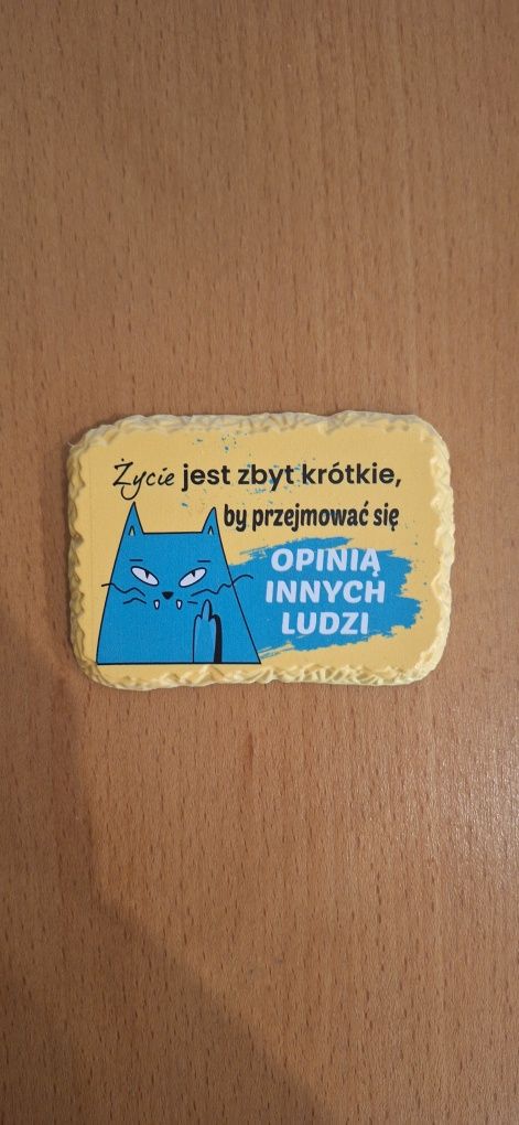 Magnes na lodówkę