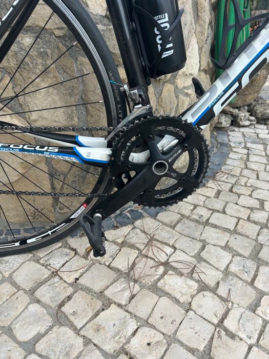 Bicicleta focus cayo carbono