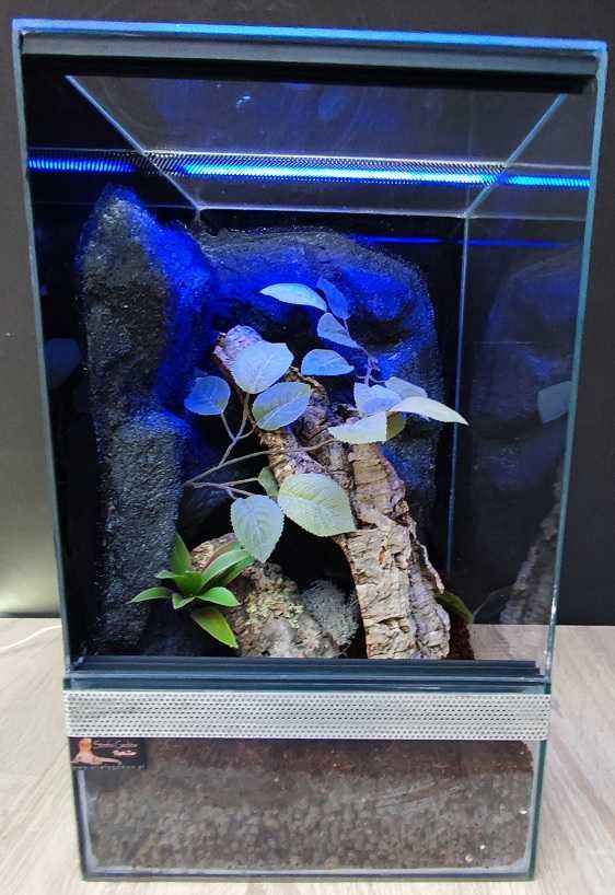 Terrarium szklane nr40 30/30/50 dla gekona orzęsionego, żab DOSTĘPNE
