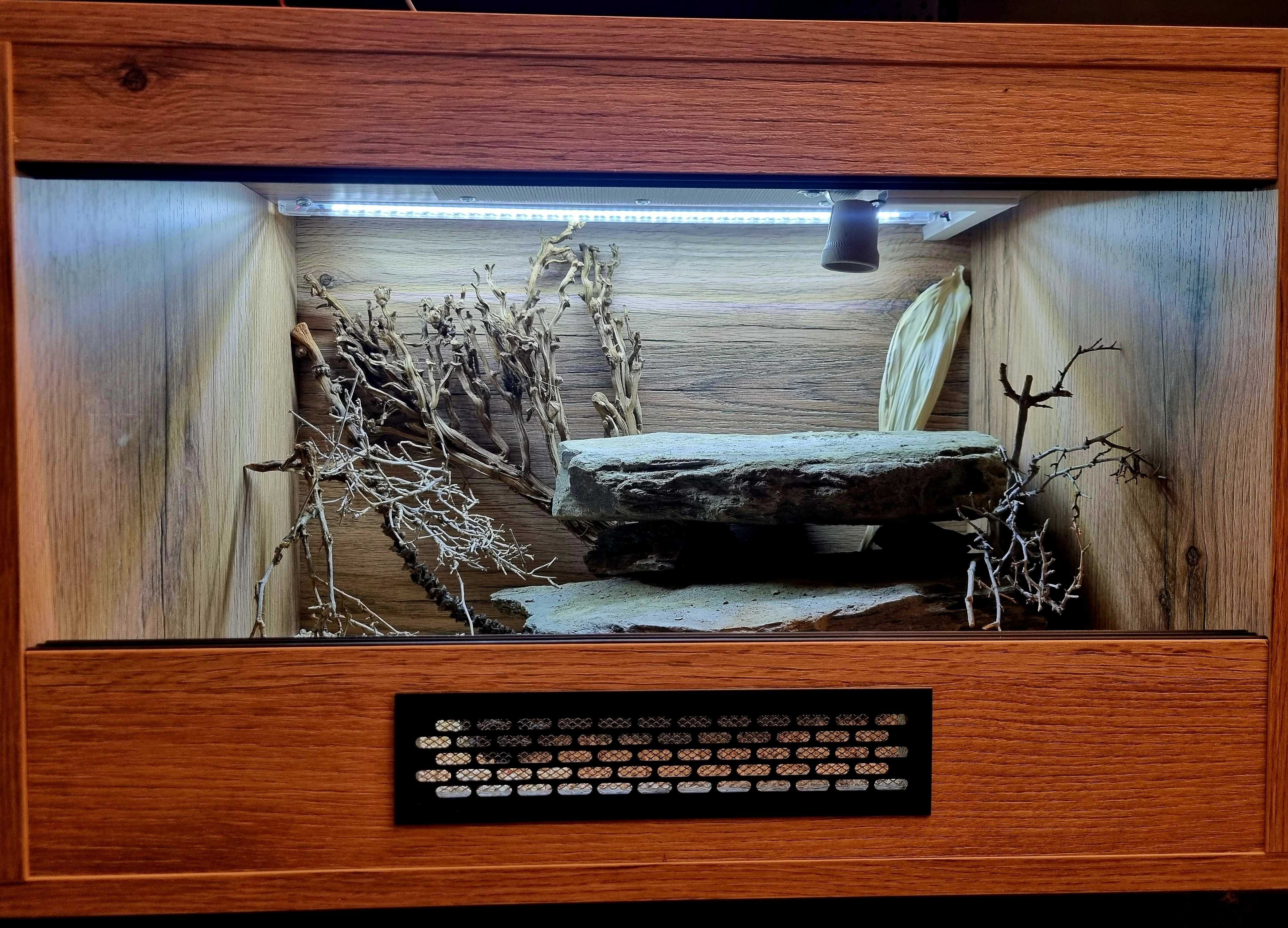 Terrarium 60x40x40 gekon lamparci jaszczurka