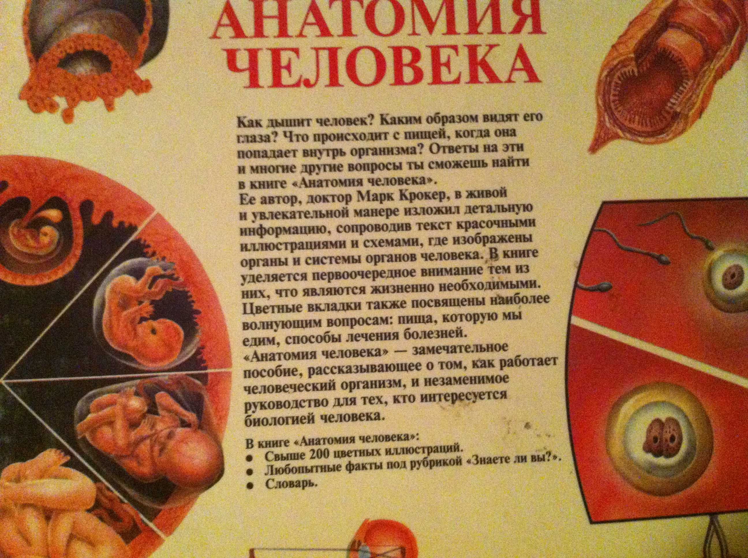 Книга для детей  Анатомия человека