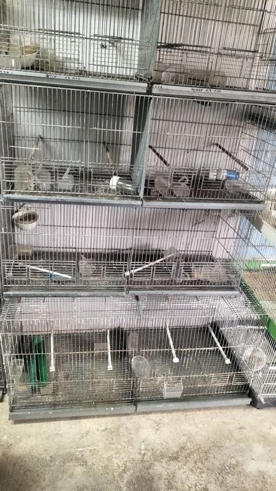 Gaiolas para venda
