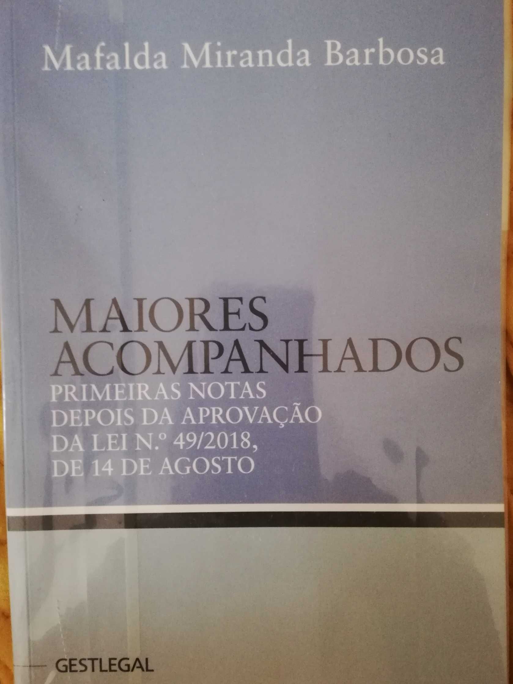 Maiores Acompanhados, primeiras notas - Mafalda Miranda Barbosa