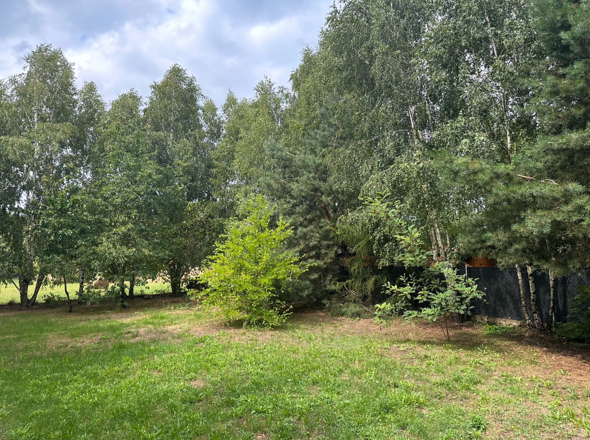 Dom nad jeziorem, SIERPIEŃ wolne terminy/BALIA/GRILL / Dom w brzozach