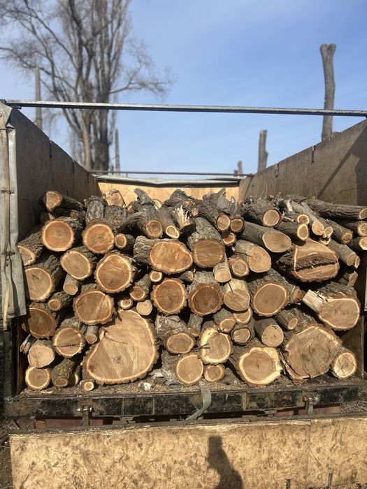 Дрова твердих порід | Метрові або колоті | Акація, берест, клен, ясень