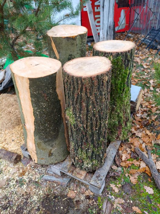 Pniaki do rąbania buk,dąb
