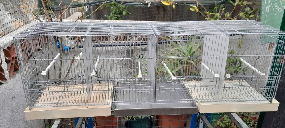 Várias gaiolas para pássaros