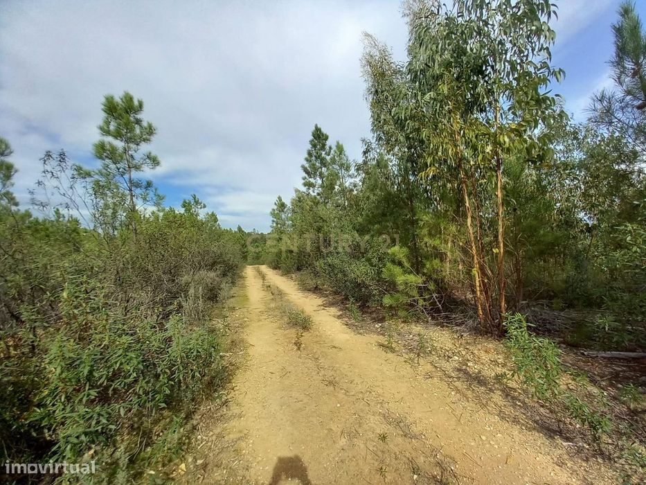 Terreno Rustico com 13520M2