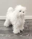 Хутро для Модел Дог Тедді Той-пудель Model Dog Teddy