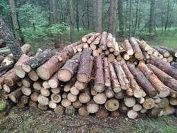 Продам дрова соснові/дуб/ясен з документами 
Метровками - 1500 грн
Руб