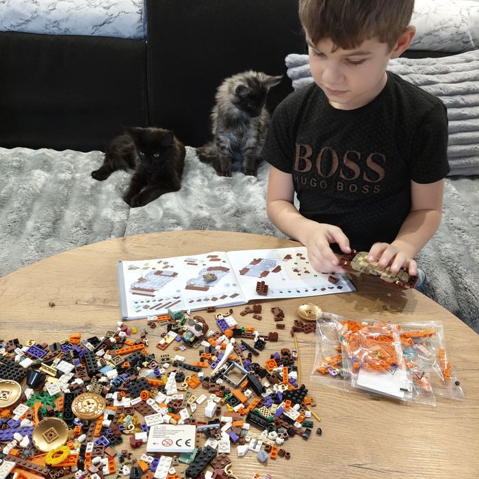 Piękna Koteczka Kami Maine coon