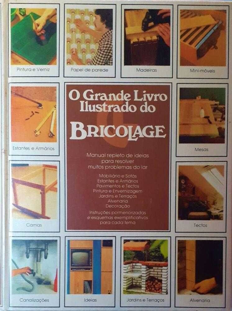 O Grande Livro Ilustrado do Bricolage / Roland Goock