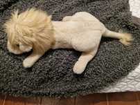 Leão de peluche.