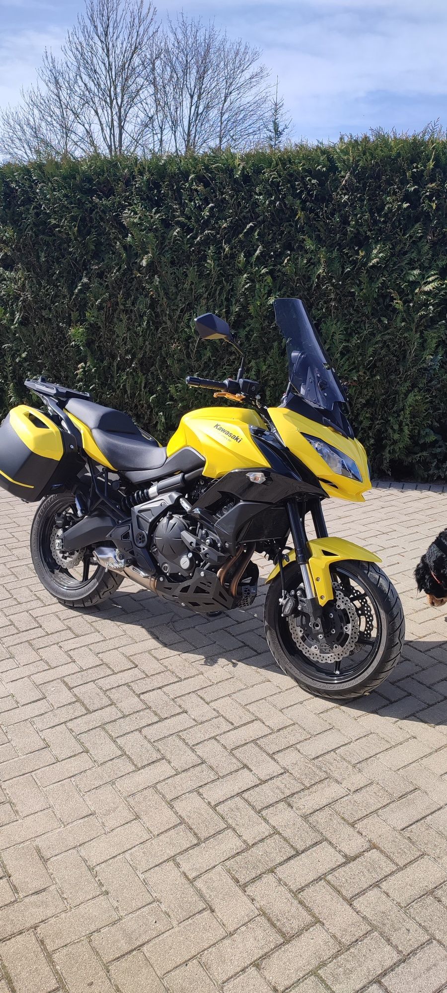 Kawasaki Versys 650