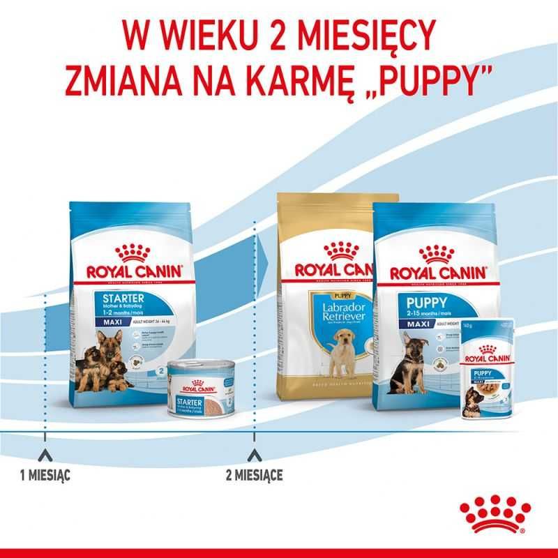 Karma dla psa Royal Canin Maxi Starter Mother & Babydog 15kg OKAZJA !!