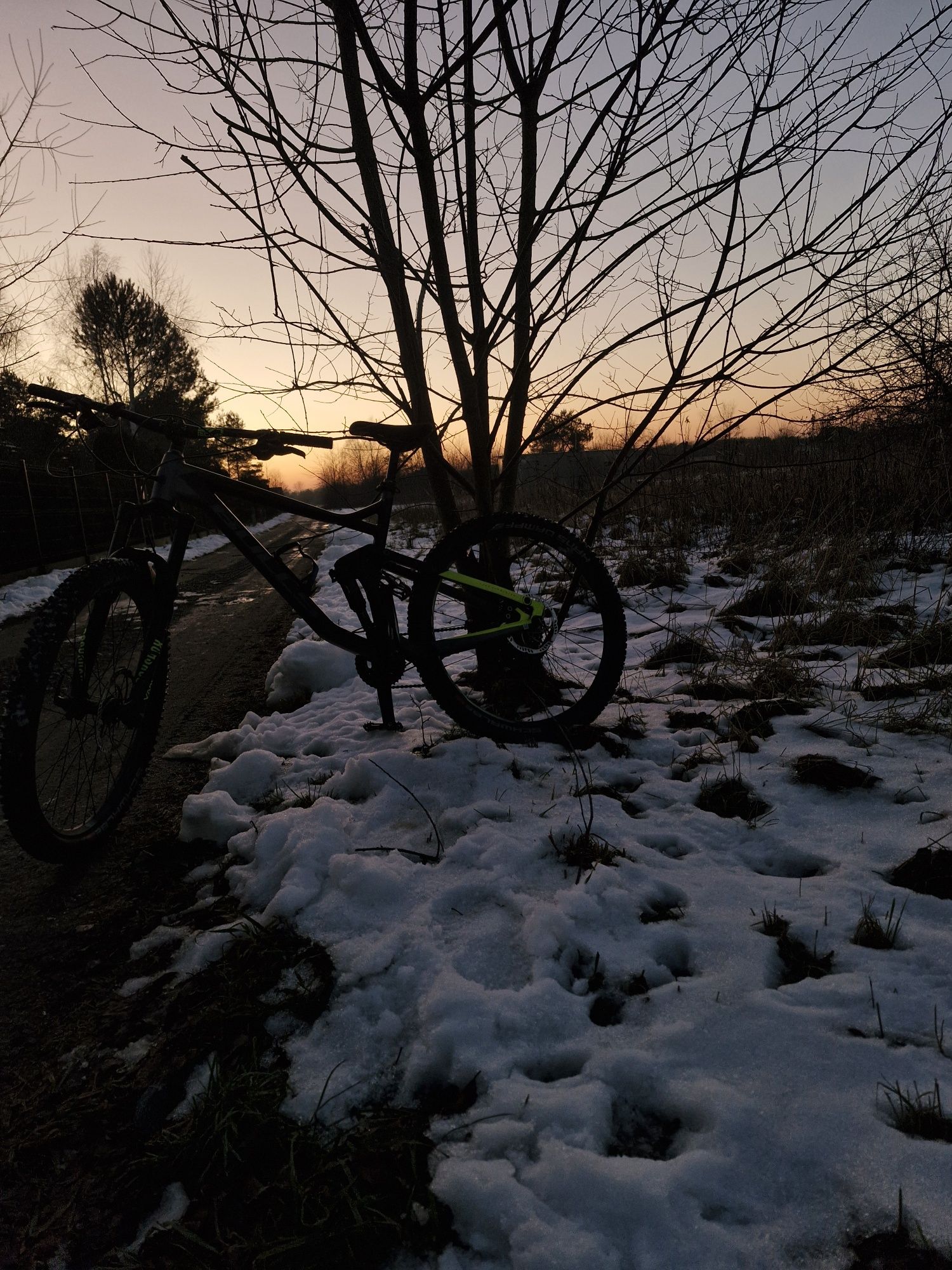 Rower enduro bulls wild mojo 1 2019 [mtb,enduro,dh]