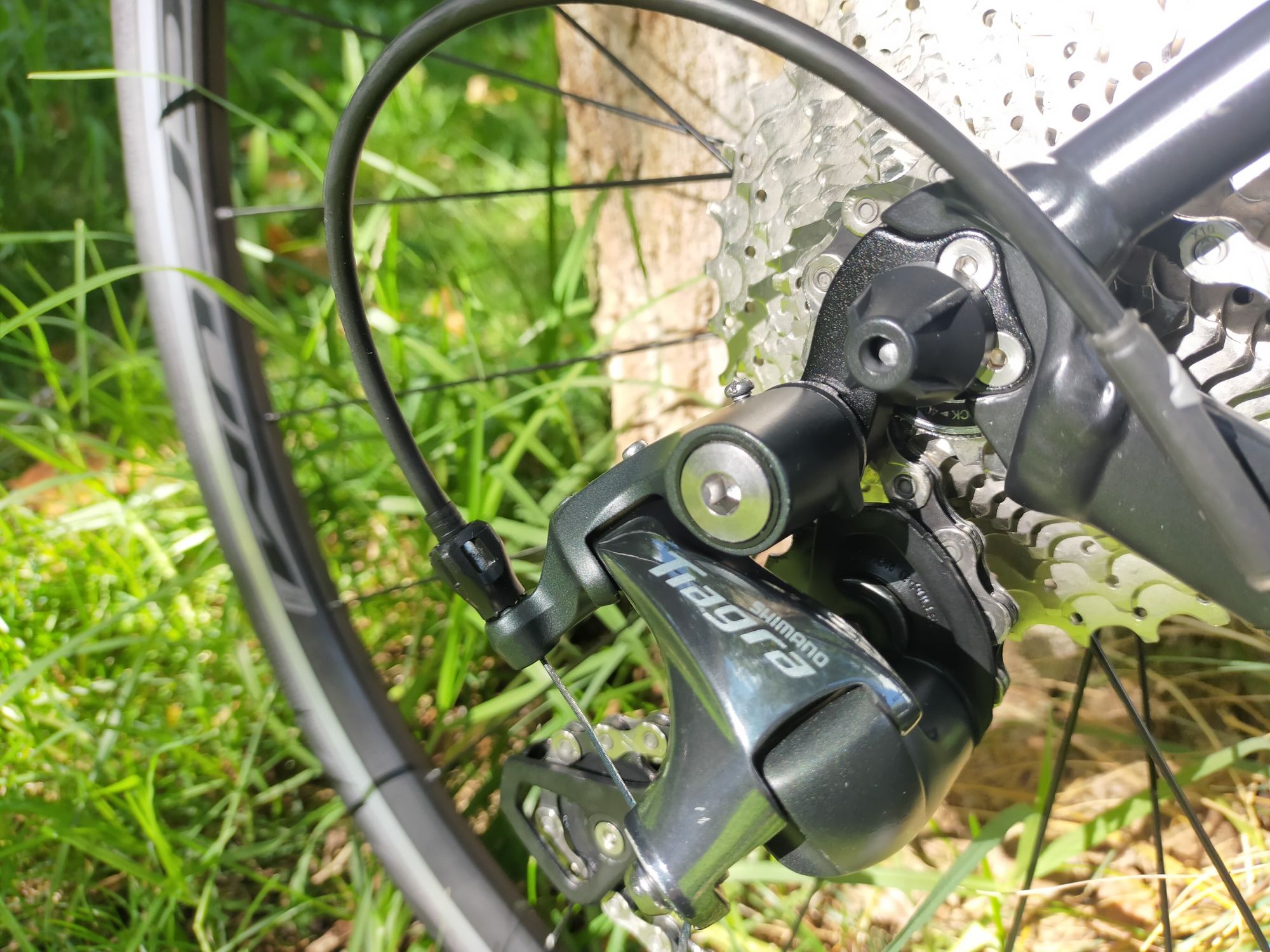 Canyon endurance AL 6 RB