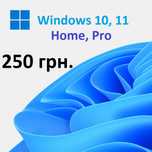 Windows 10, Windows 11. Home, Pro (Professional), Ліцензійний ключ