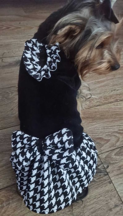 Sukienka ubranko dla papilon york shihtzu szyte na miarę