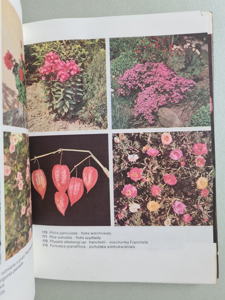 Kwiaty od A do Z - Krystyna Oszkinis