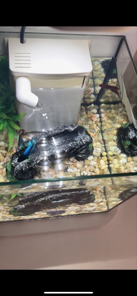 Aquário Aquatlantis Cubic 10L