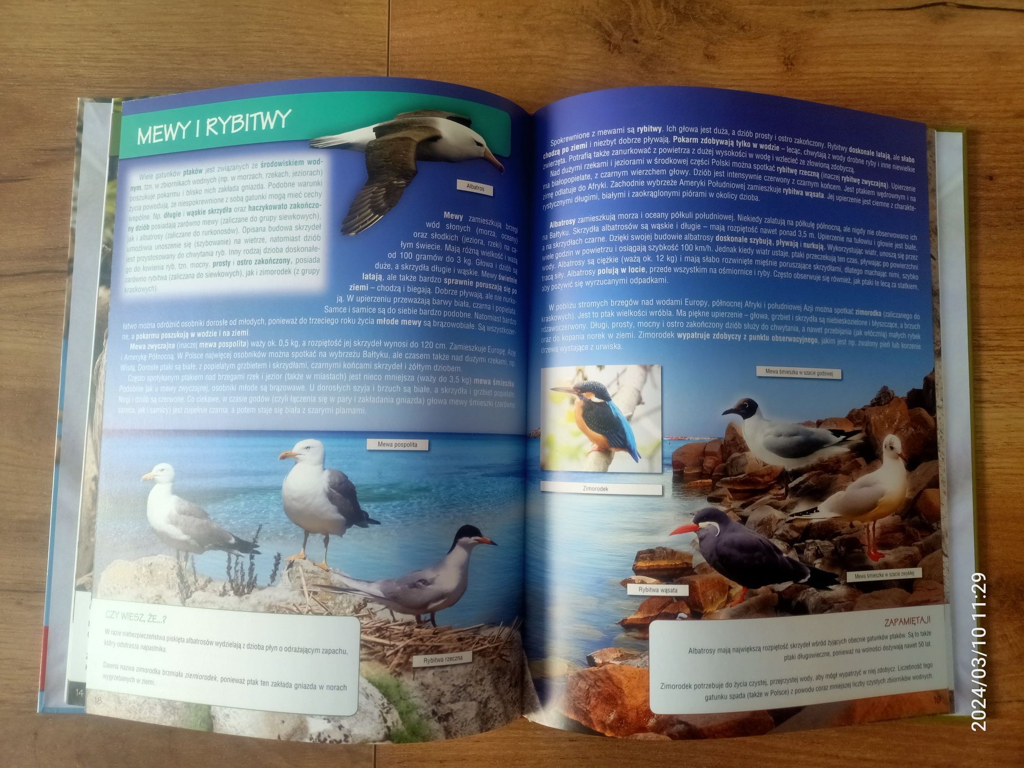 Książka opisująca różne Ptaki