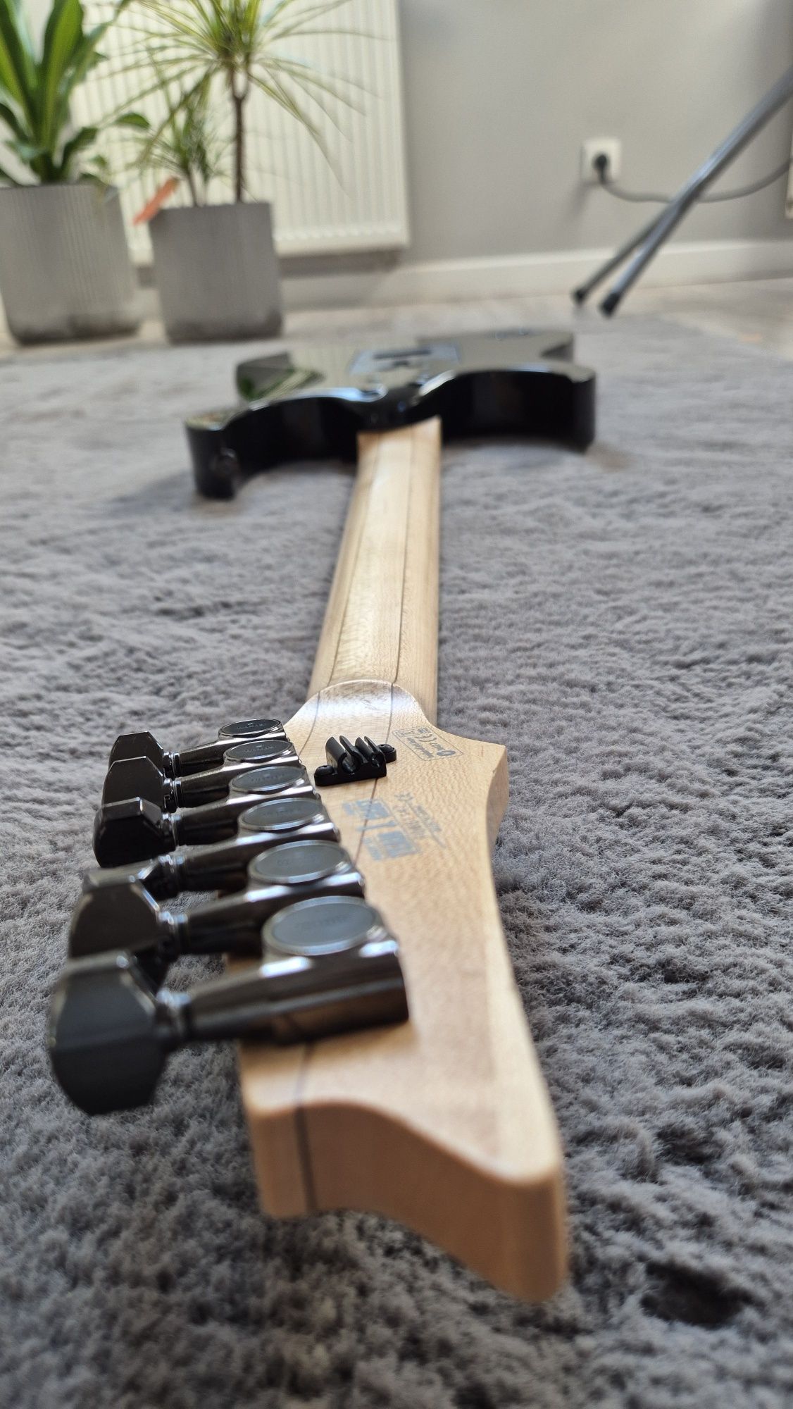 Ibanez Prestige RG 550z