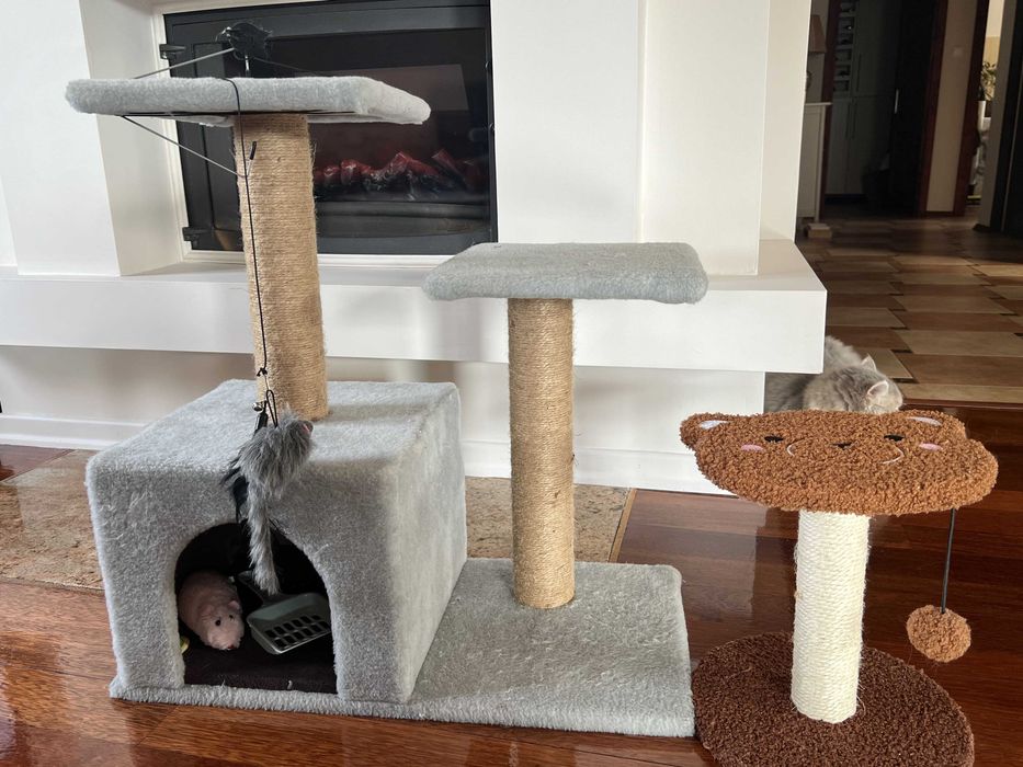 sprzedam dwa drapaki dla kota i zabawki