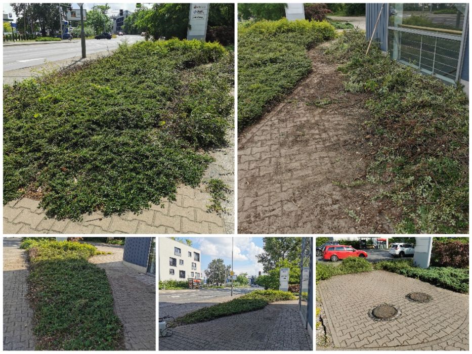 Usługi glebogryzarką, wertykulacja trawnika, koszenie trawy i inne