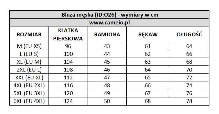 26 Bluza męska SWAG - 6 kolorów - M-6XL