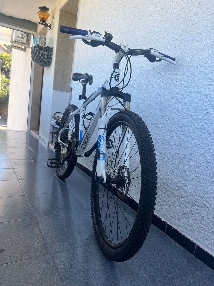 -Bicicleta Berg-