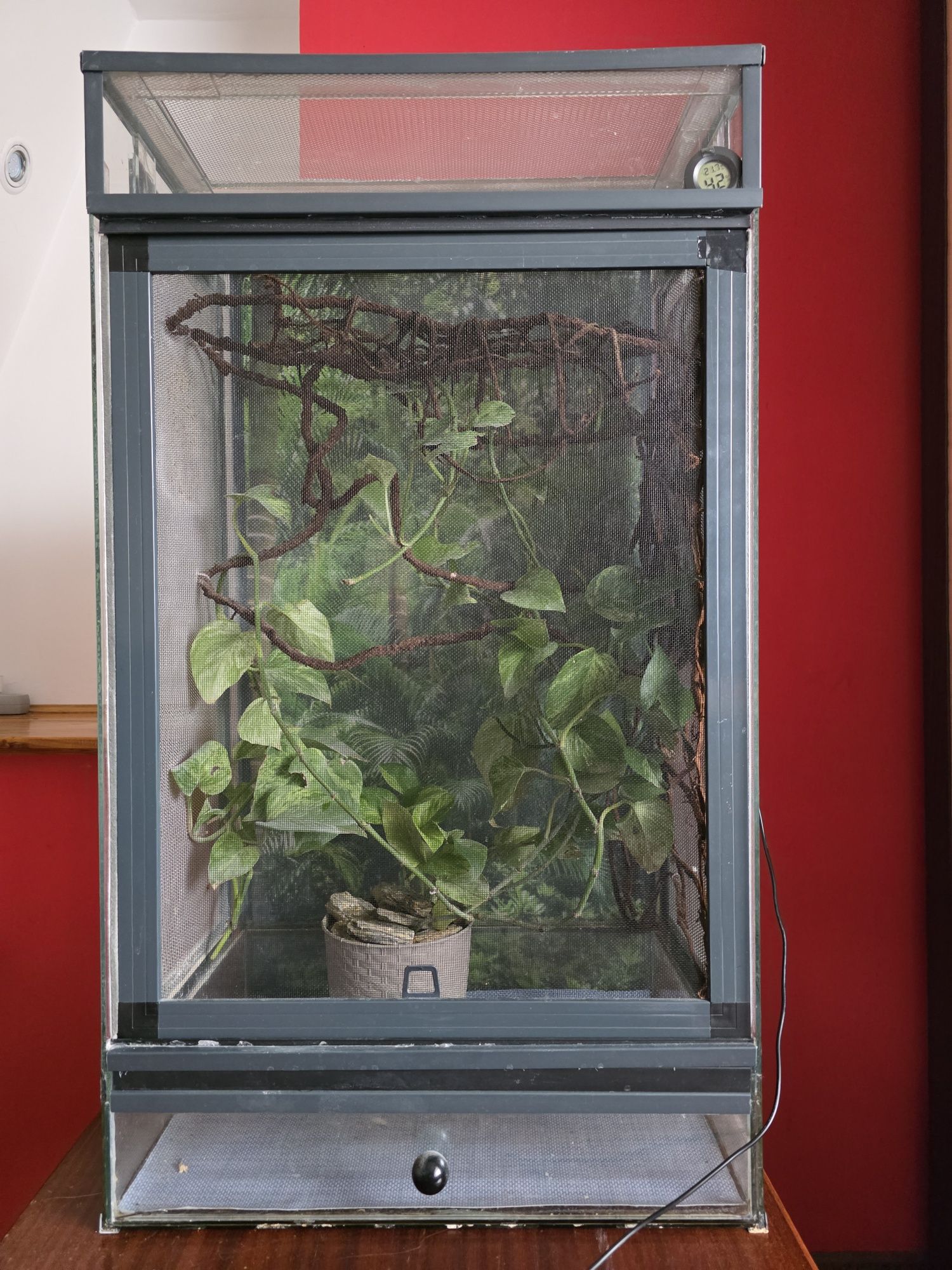 Terrarium dla kameleona z osprzętem