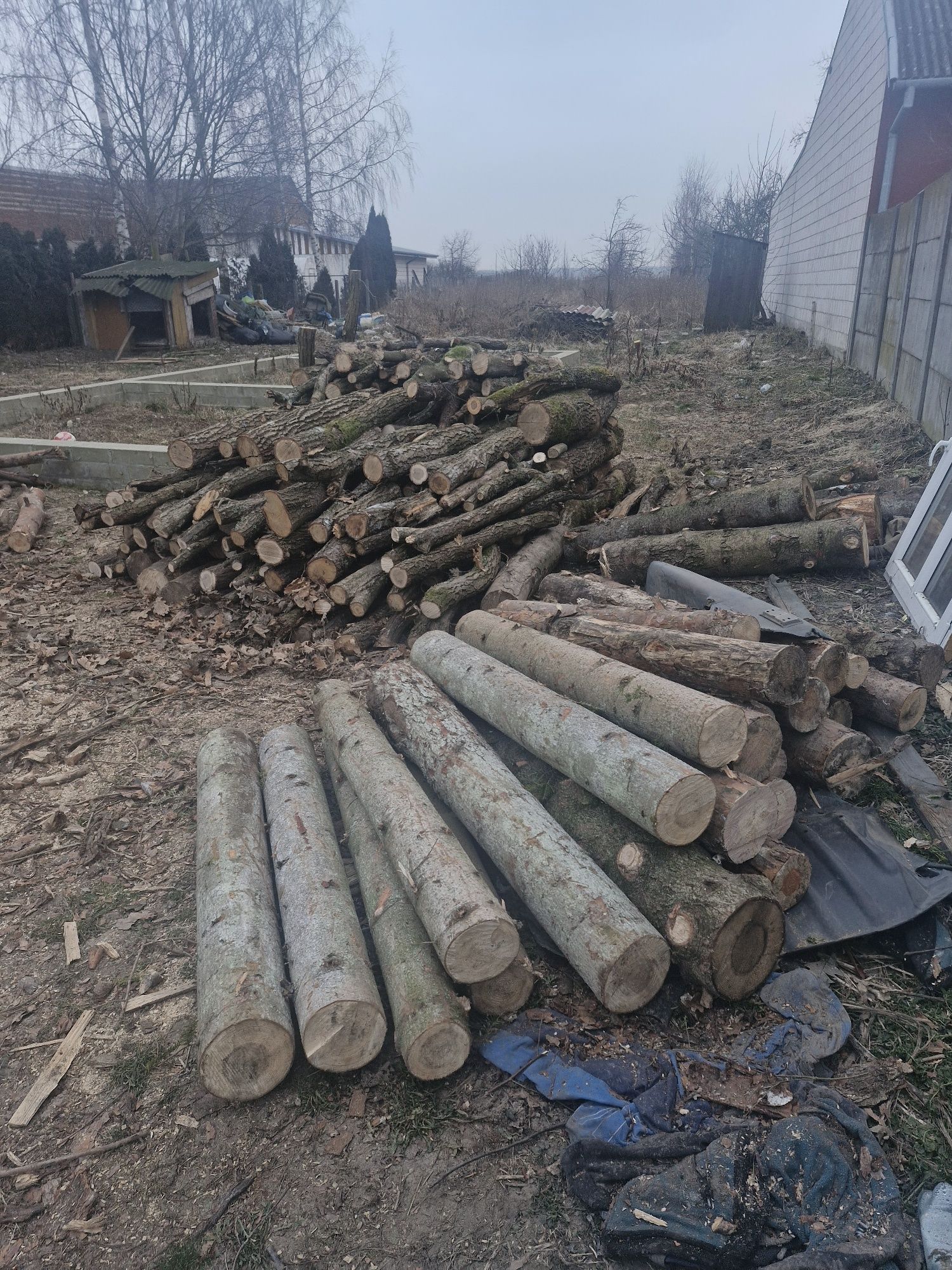 Witam Sprzedam drewno