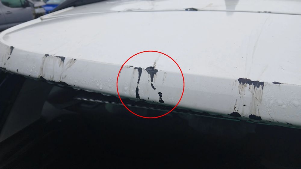 Porta / tampa da mala CITROËN C3 Aircross II (2R_, 2C_)