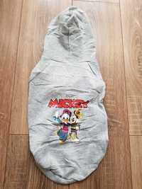 bluza dla psa Mickey Myszka Minnie Kaczka Daisy Rap Rock Disney XL