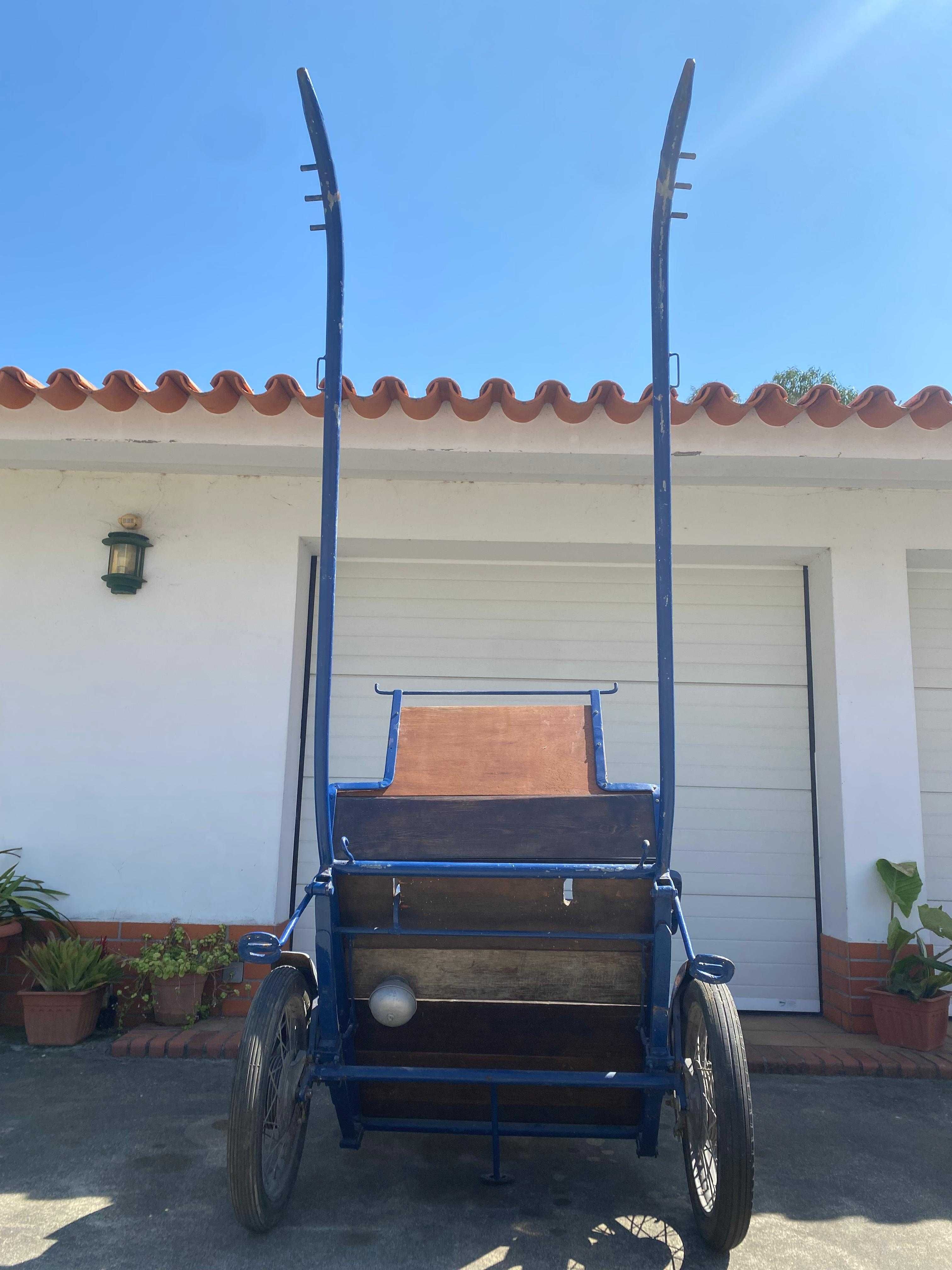 Charrete para Pónei + Arreios | Renovada e Bem Estimada