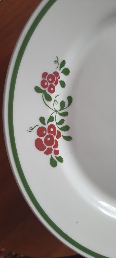 12 sztuk talerzy Inter American Porcelain Poland