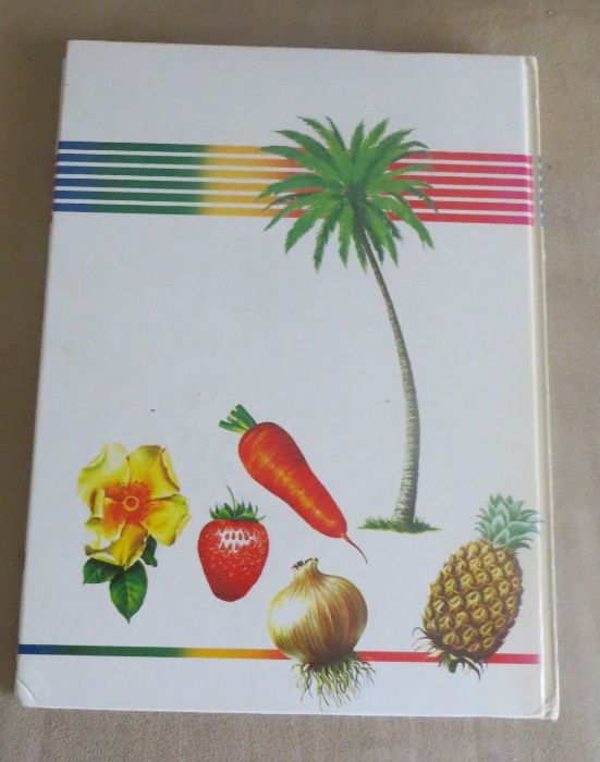 Passeio - Natureza Infanto - Juvenil Ilustrada