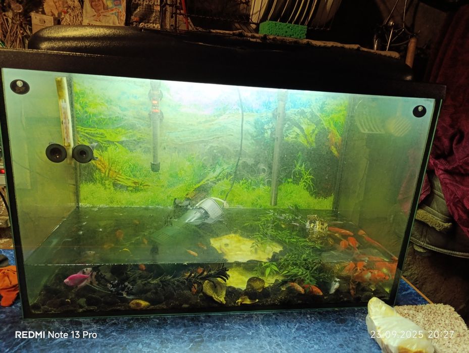 Продам аквариум отошло стекло 120 л.можно как террариум или подремонт