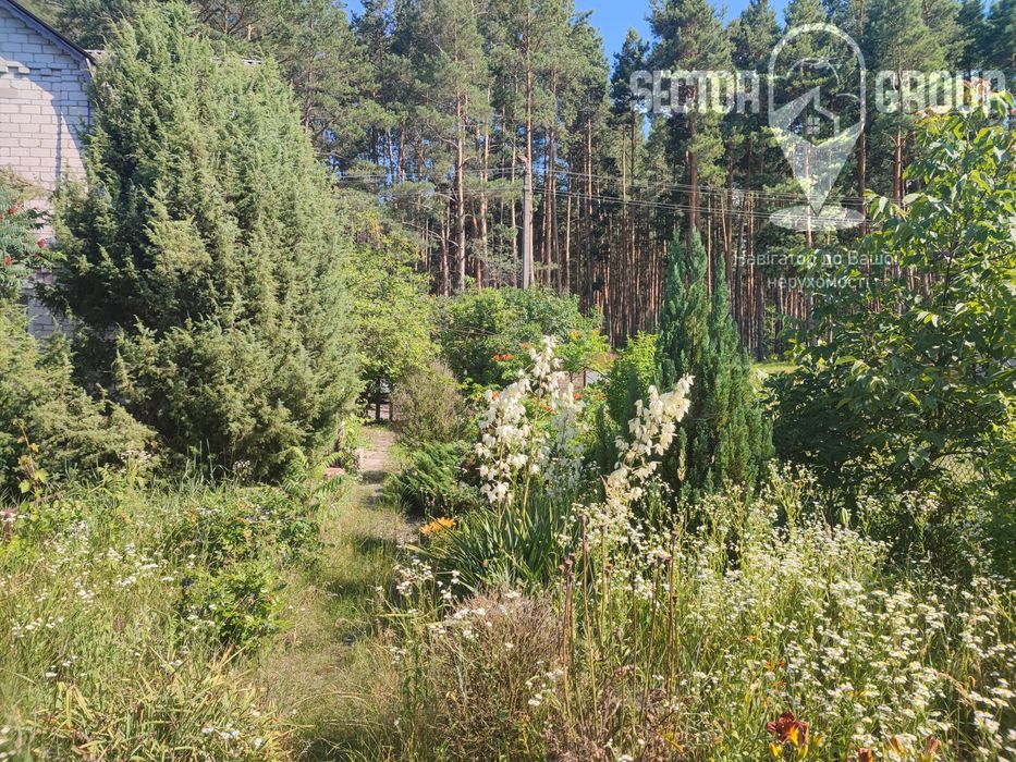 Кооператив "Ягідка"