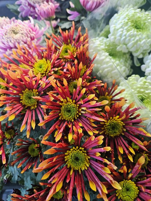 Odstąpię kwiaciarnię