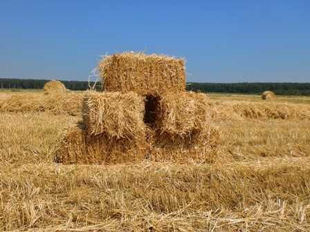 Сіно, солома, люцерна